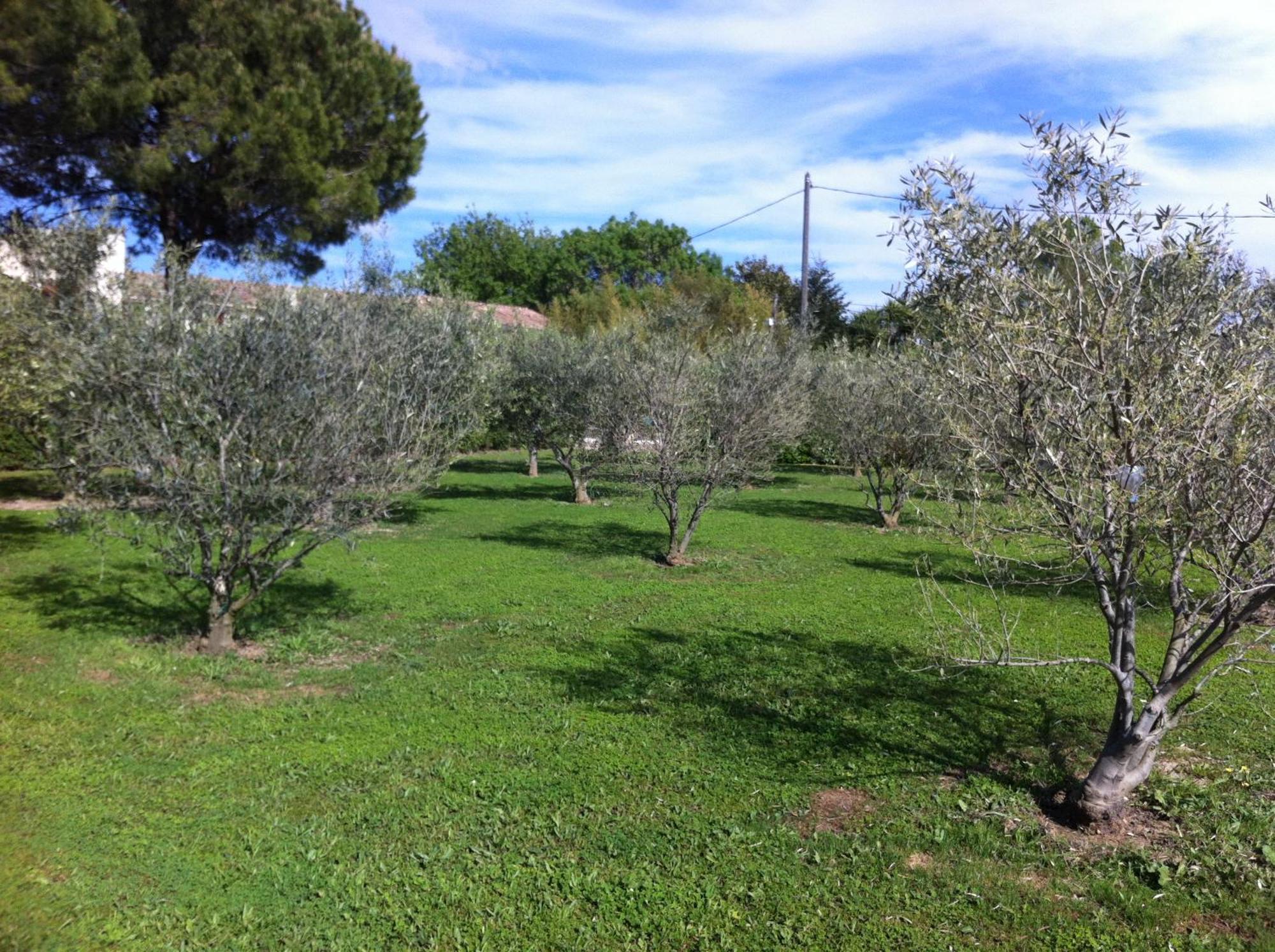 Le Micocoulier Apartment La Crau Bagian luar foto